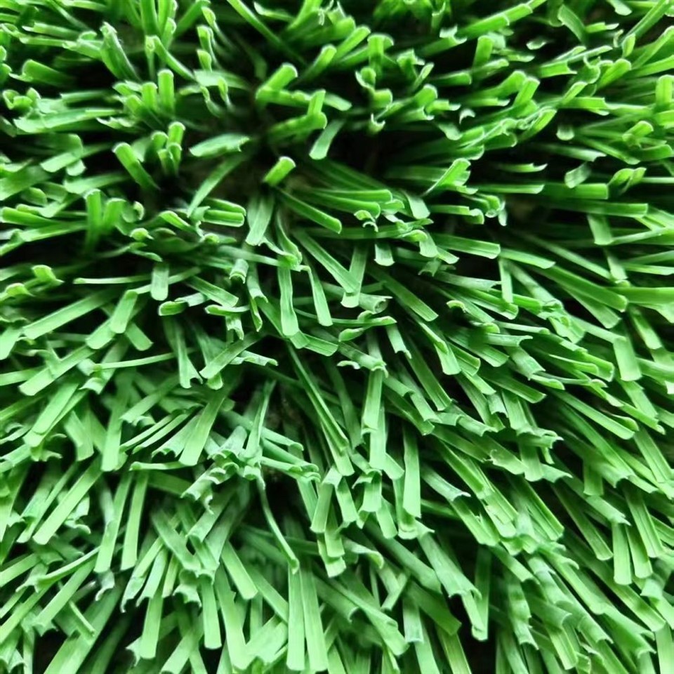 The Arc Shape Sport Artificial Turf factory